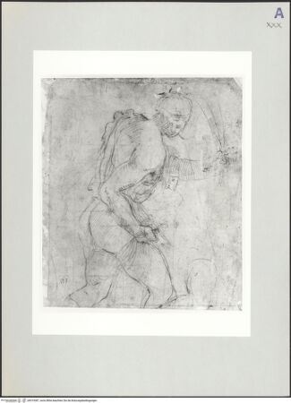 Vorderseite von bh519387_recto