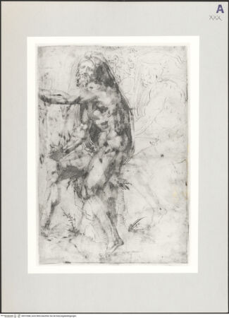 Vorderseite von Musée des Beaux Arts [https://www.deutsche-digitale-bibliothek.de/content/lizenzen/rv-ez/] Johannes der Täufer - , bh519388_recto. Foto.