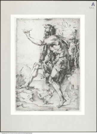 Vorderseite von Musée des Beaux Arts [https://www.deutsche-digitale-bibliothek.de/content/lizenzen/rv-ez/] Johannes der Täufer - , bh519389_recto. Foto.