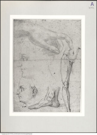 Vorderseite von Musée des Beaux Arts [https://www.deutsche-digitale-bibliothek.de/content/lizenzen/rv-ez/] Studien zu einem Bein, Fuß und Köpfen - , bh519390_recto. Foto.