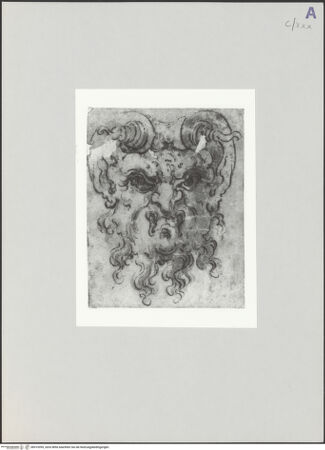 Vorderseite von bh519395_recto