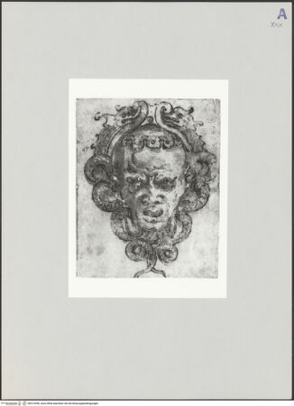 Vorderseite von bh519396_recto