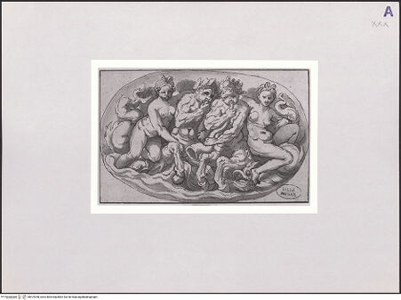 Vorderseite von bh519398_recto