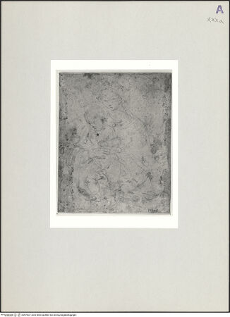 Vorderseite von bh519407_recto