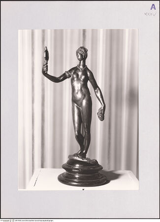 Vorderseite von bh519500_recto