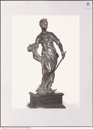 Vorderseite von bh519503_recto