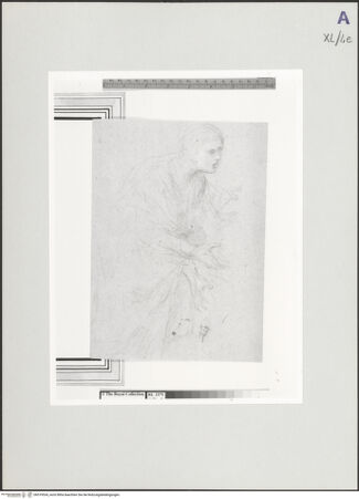 Vorderseite von bh519534_recto