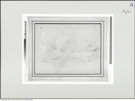 Vorderseite von bh519535_recto