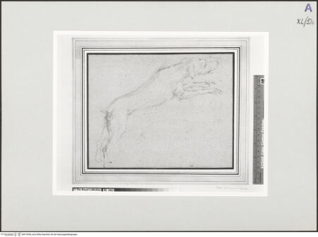 Vorderseite von bh519536_recto