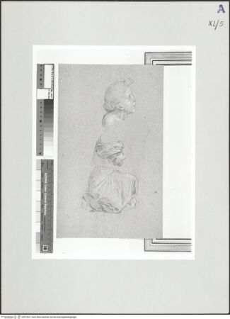 Vorderseite von bh519537_recto