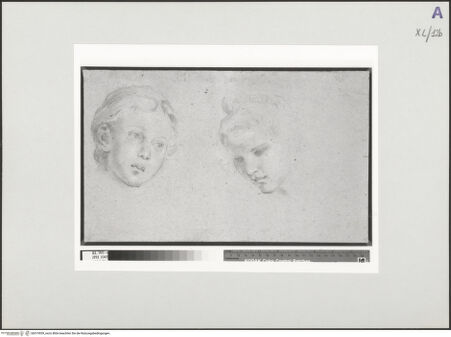 Vorderseite von bh519539_recto