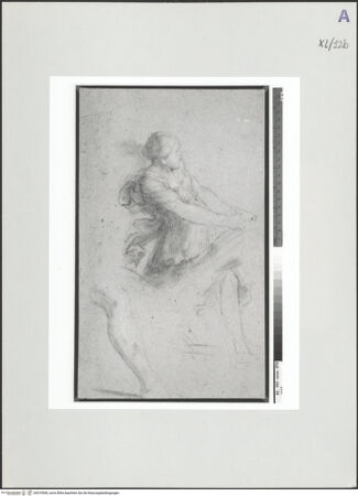 Vorderseite von bh519540_recto