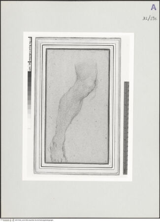 Vorderseite von bh519542_recto