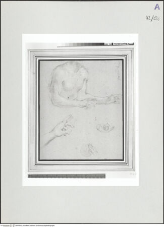 Vorderseite von bh519543_recto