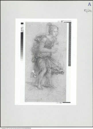 Vorderseite von bh519544_recto