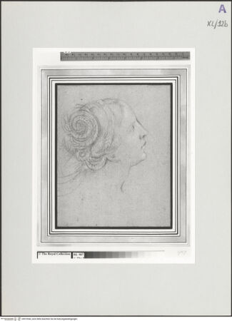 Vorderseite von bh519546_recto