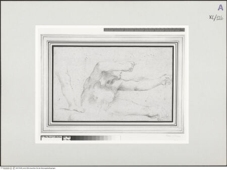 Vorderseite von bh519549_recto