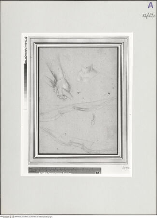 Vorderseite von bh519550_recto