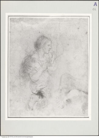 Vorderseite von bh519553_recto