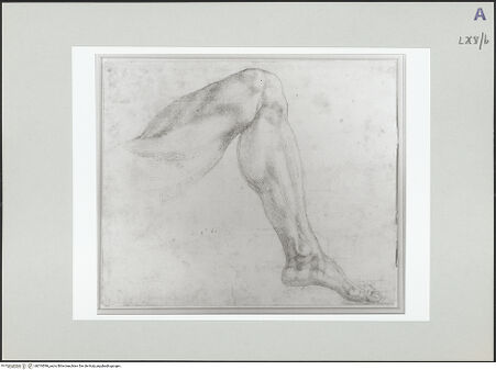 Vorderseite von bh519596_recto