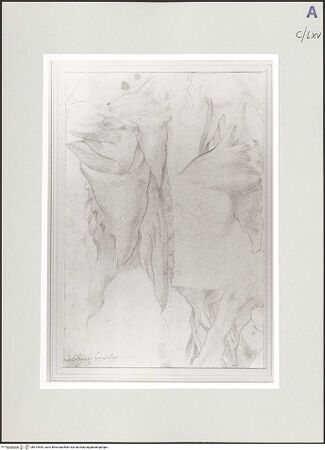 Vorderseite von bh519599_recto