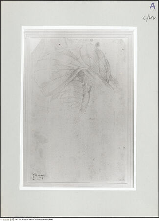 Vorderseite von bh519600_recto