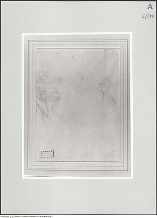 Vorderseite von bh519602_recto