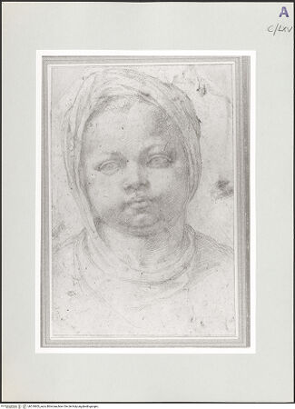 Vorderseite von bh519603_recto