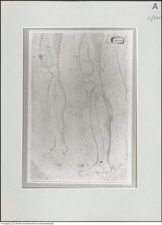 Vorderseite von bh519604_recto