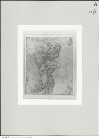 Vorderseite von bh519606_recto