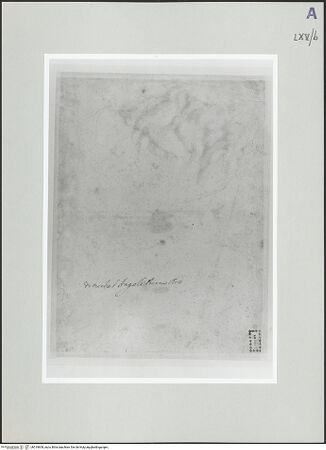 Vorderseite von bh519608_recto