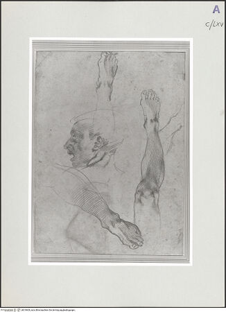 Vorderseite von bh519609_recto