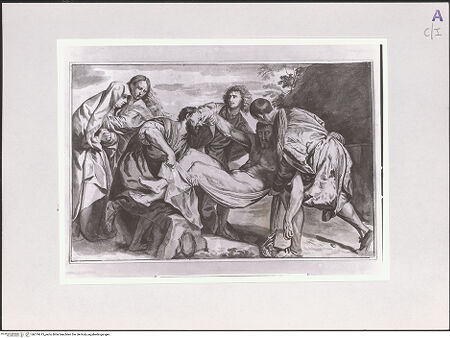 Vorderseite von bh519615_recto