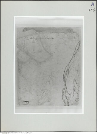 Vorderseite von bh519617_recto