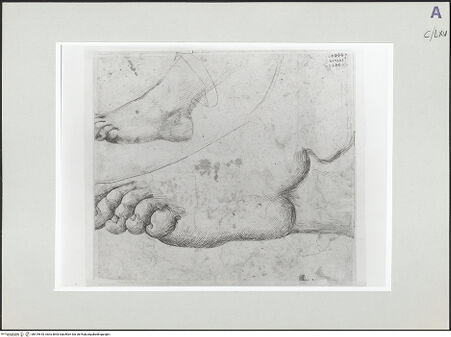 Vorderseite von bh519618_recto