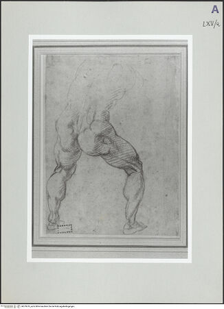 Vorderseite von bh519619_recto