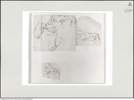 Vorderseite von bh519621_recto