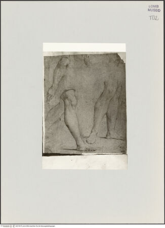 Vorderseite von bh519675_recto