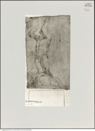 Vorderseite von bh519677_recto