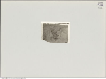 Vorderseite von bh519681_recto