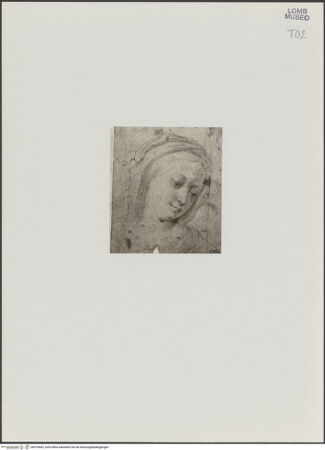 Vorderseite von bh519682_recto