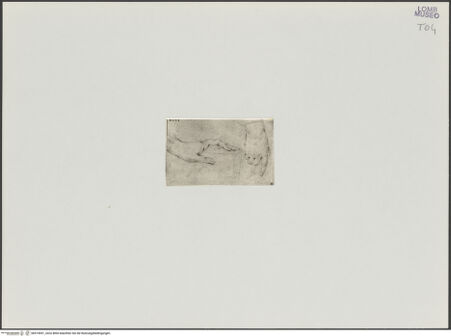 Vorderseite von bh519691_recto