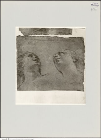 Vorderseite von bh519692_recto