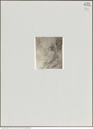 Vorderseite von bh519709_recto