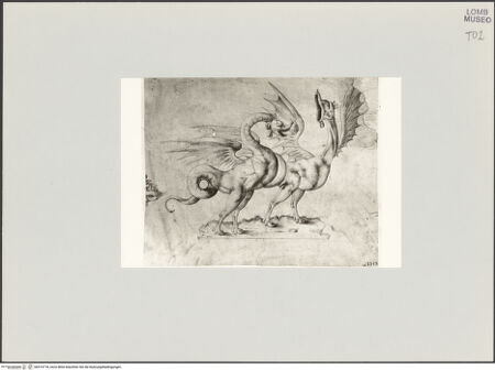 Vorderseite von bh519718_recto