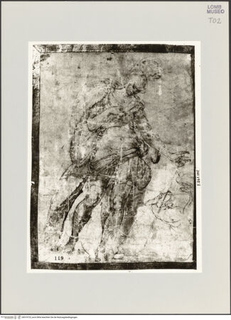 Vorderseite von bh519723_recto