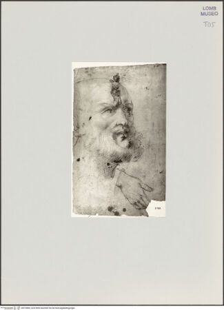 Vorderseite von bh519884_recto