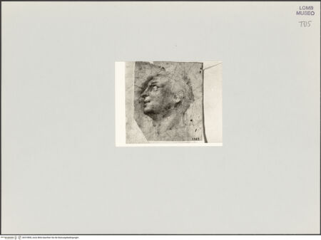 Vorderseite von bh519890_recto