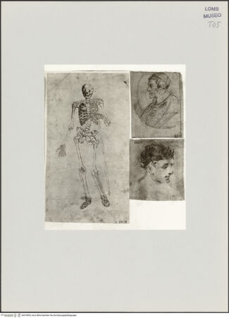 Vorderseite von bh519895_recto