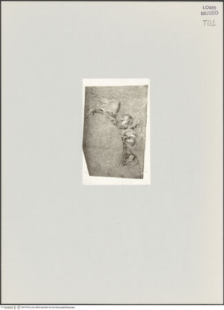 Vorderseite von bh519918_recto